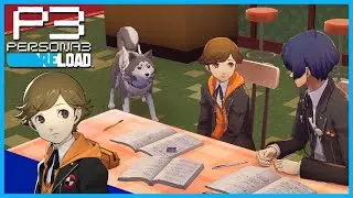 Study Group with Ken [December] - Persona 3 Reload
