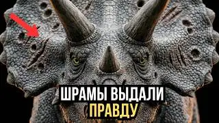 The Triceratops' most dangerous enemy is not the T. rex