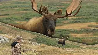 How to Call a Big Bull Moose in to 10 Yards! | Canada in the Rough Uncut
