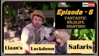 Liaan's Lockdown Safaris - Episode 6