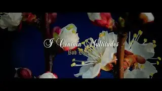 Bob Dylan - I Contain Multitudes