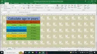 Calculate age in years (MS Excel format)