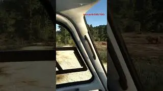 Львы в Microsoft Flight Simulator//Авиасимулятор для ПК//Прогулка по локациям#shorts