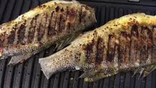 На гриле: СИБАС, КЕТА и КУРА. Tefal Optigrill XL.