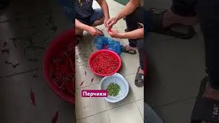 Вьетнам 2024
