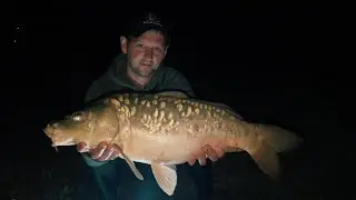 Карпфишинг летом.  Попали на клев  карпов! carp fishing.#carpfish