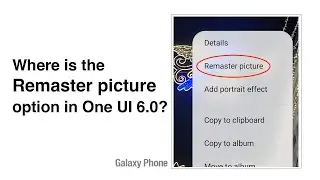 Where is the Remaster picture option in Samsung One UI 6.0?