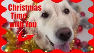 Roderick Newport – Christmas Time with You (Official Bluegrass Music Video)
