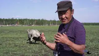 Баһылай Герасимов Нам улууһун  Таастаах дэриэбинэтин олохтооҕо.