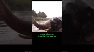 Радость, любовь и признание. Лайфхак