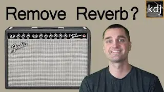 How To Remove Reverb from a Deluxe Reverb Amp?