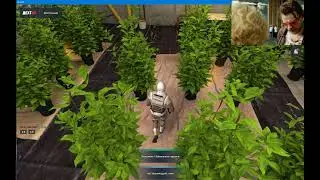 NEXT RP   скомуниздили анимацию на шишках