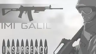 Insurgency: Galil