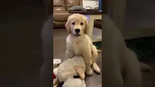 Wait for that wink 😜 