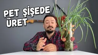 Green Onion Supplement in Pet Bottle | Practical and Easy