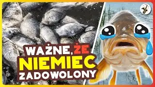 🦇NUTOPERZE🦇 - Ballada o Karpiu z Odry #parodia #odra #polityka #polska