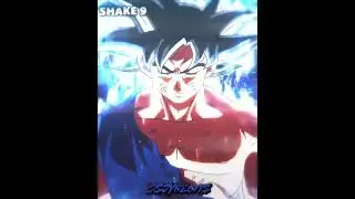 SSJYB MINI SHAKE PACK - 2025 