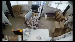 idiots driving