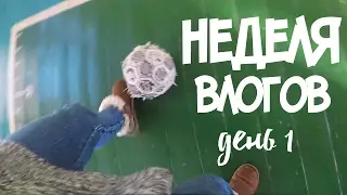 ШКОЛЬНЫЙ ВЛОГ: НЕДЕЛЯ ВЛОГОВ. ДЕНЬ ПЕРВЫЙ