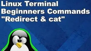 Linux Terminal for Beginners Commands 5: Redirect Actions with cat