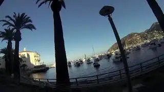 GOPR0014