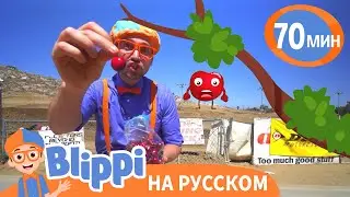 Собираем Вишню вместе с Блиппи🍒 | Блиппи на русском