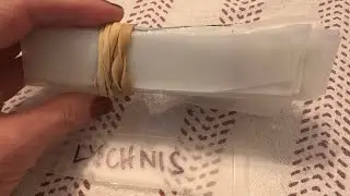 DIY plant labels