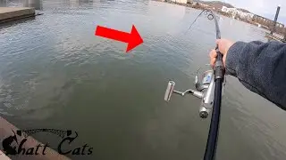 Talk About A VERY POWERFUL Fish (NEW PB From The Bank)