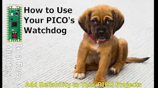 How to use the PICO Watchdog Timer