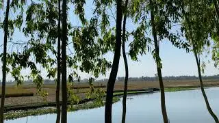 Beautiful Village Road 4K