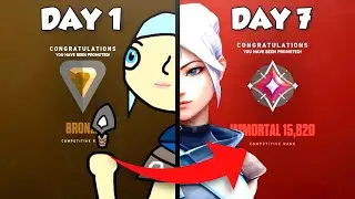 I Hired RADIANT COACHING For 7 Days...
