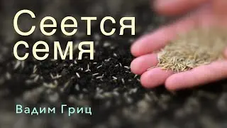LED | Вадим Гриц | Проповедь: Сеется семя