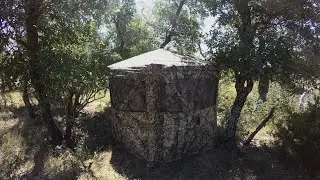 Pop Ups vs Ground Blinds vs Box Blinds