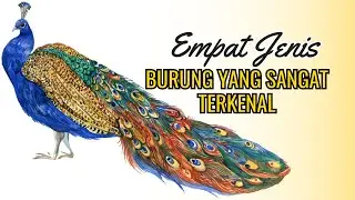 Empat Jenis burung yang sangat terkenal - Online Zoo