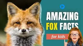 WOW! 10 Fantastic Fox Facts for Kids That Will Love