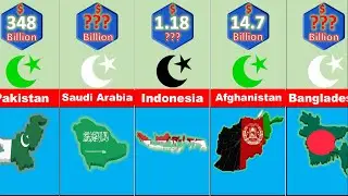 Richest Muslim Countries In The World | Richest Muslim Country