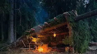 Building a Warm Survival Shelter Under Fallen Trees 🍂  ASMR, No Talk.