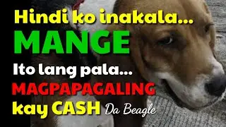 ANO GAMOT SA GALIS O MANGE NG ASO I DA HUSTLER'S TV