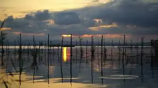 Sony A7 S3 S-log3 HDR test in low light in albufera, Valencia. 4K ultra HD