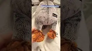 Новые ботиночки для котика 
