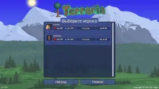 играем в Terraria