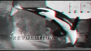REVOLUTION • Collab