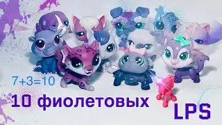 Top 10 violet LPS