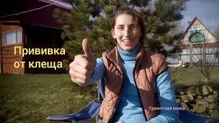 Прививка от клеща. Прививка от клещевого энцефалита.