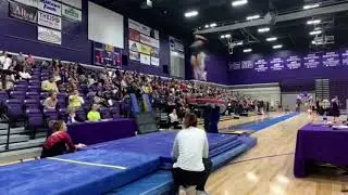 Tisana Lowe (Hamline) 2020 Vault