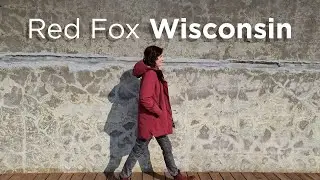 Red Fox Wisconsin