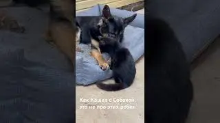 Лучшие Друзья. Часть 2
