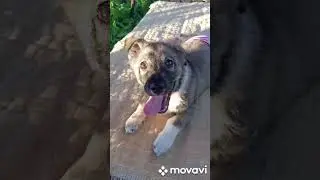 Джек,  Линда  и Боня👍👍👍👌👌👌😊😊😊