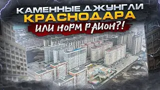 Петра Метальникова Краснодар. Обзор района и новая трамвая линия