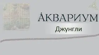 Аквариум - Джунгли. Караоке